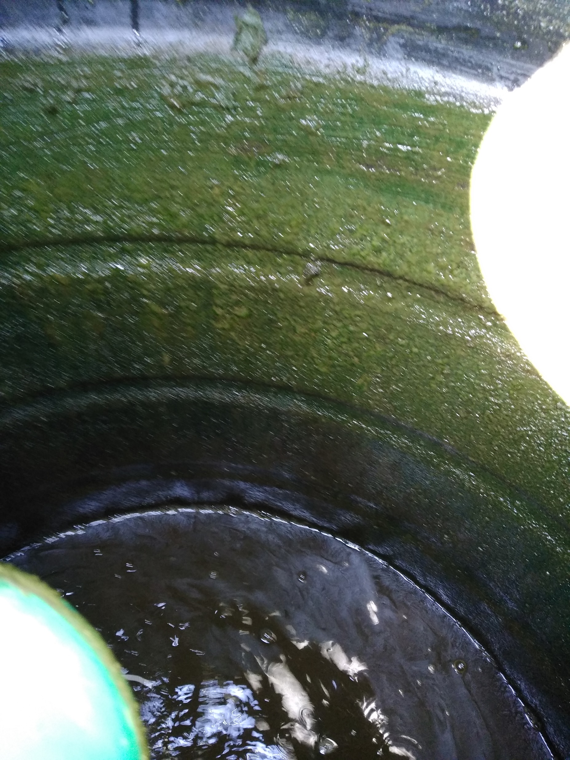 Water Tank Cleaning for Oil India Limited photo 2