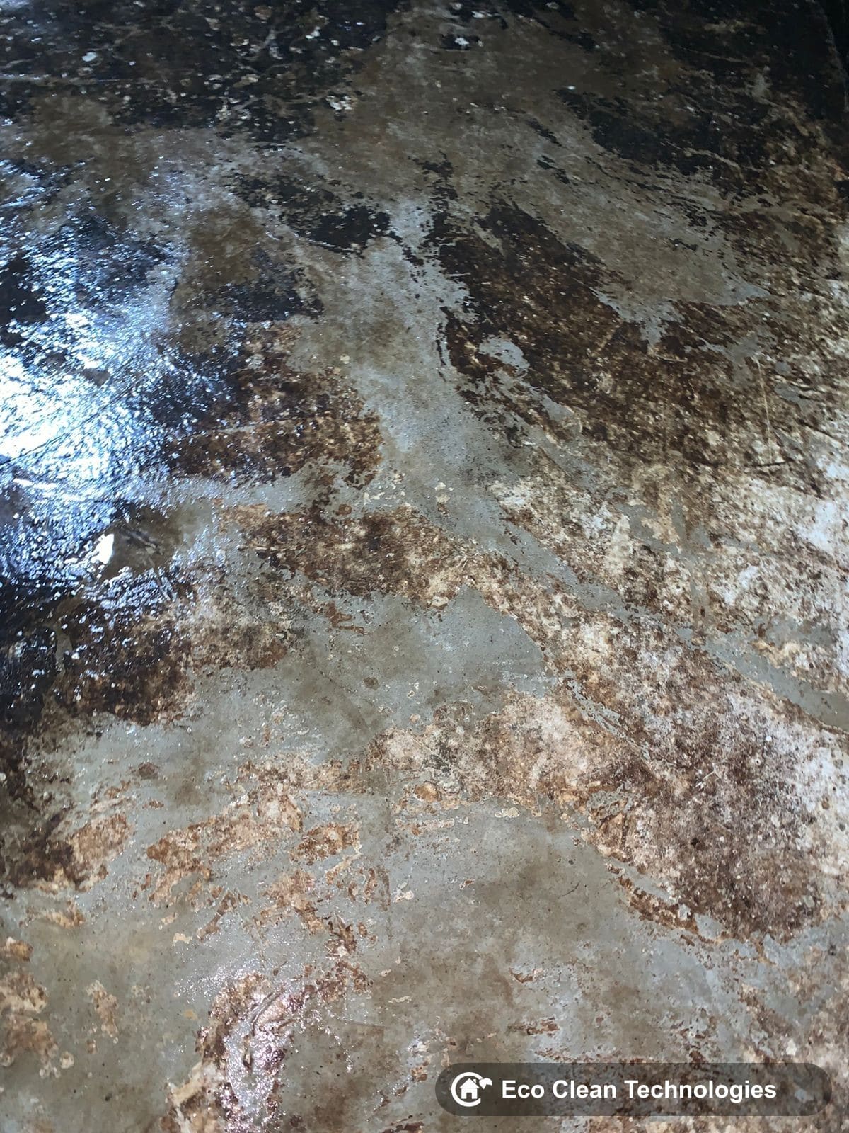Clean tank floor after cleaning at Parx Laureate