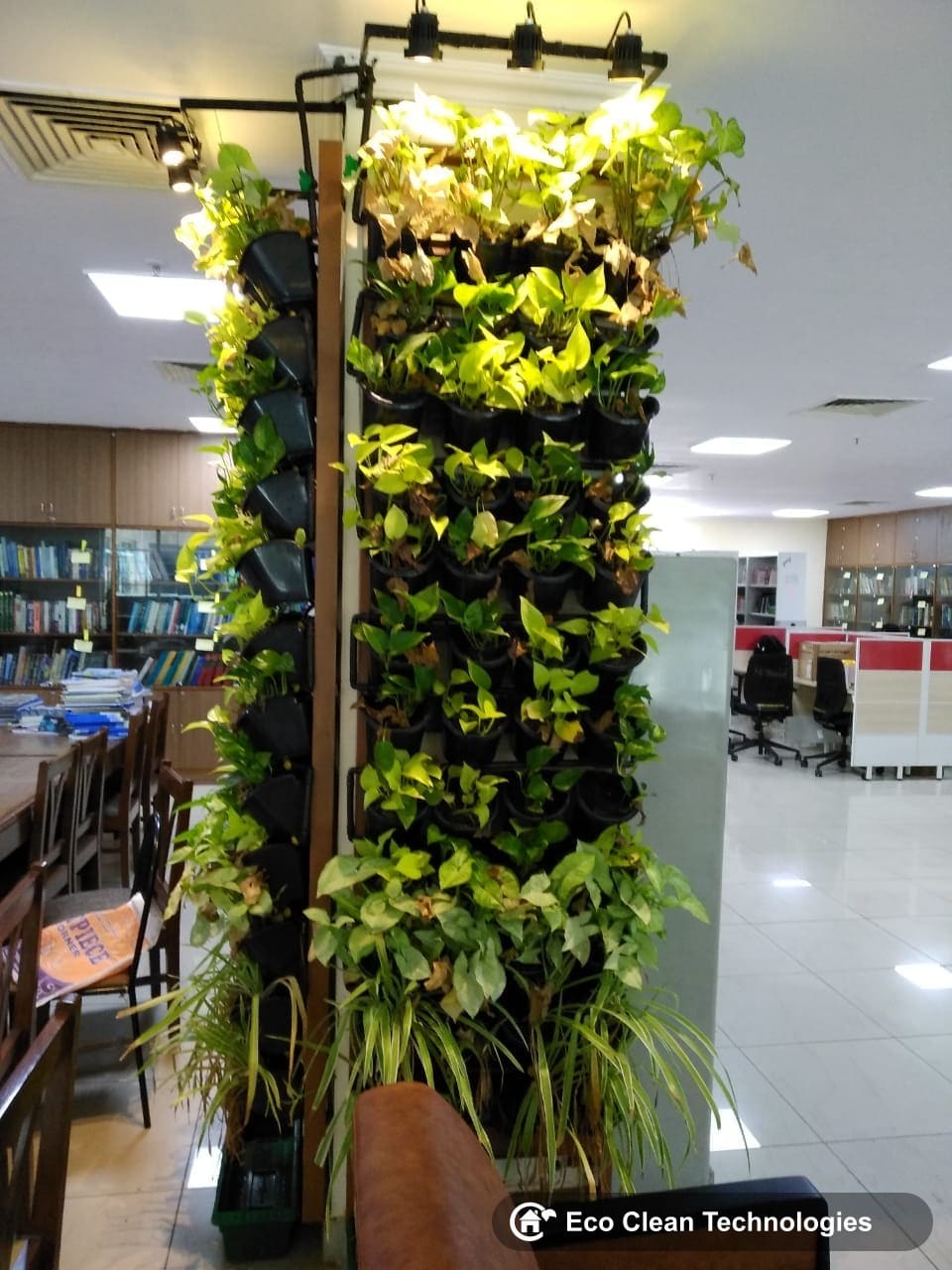 Full vertical garden wall
