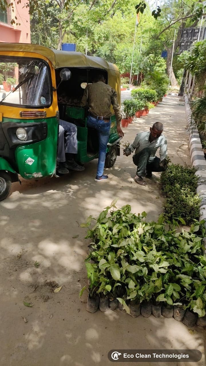 Plant delivery for garden installation