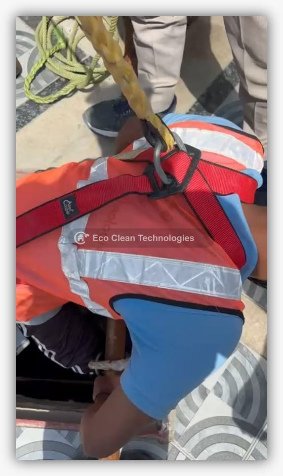 Safety harness closeup