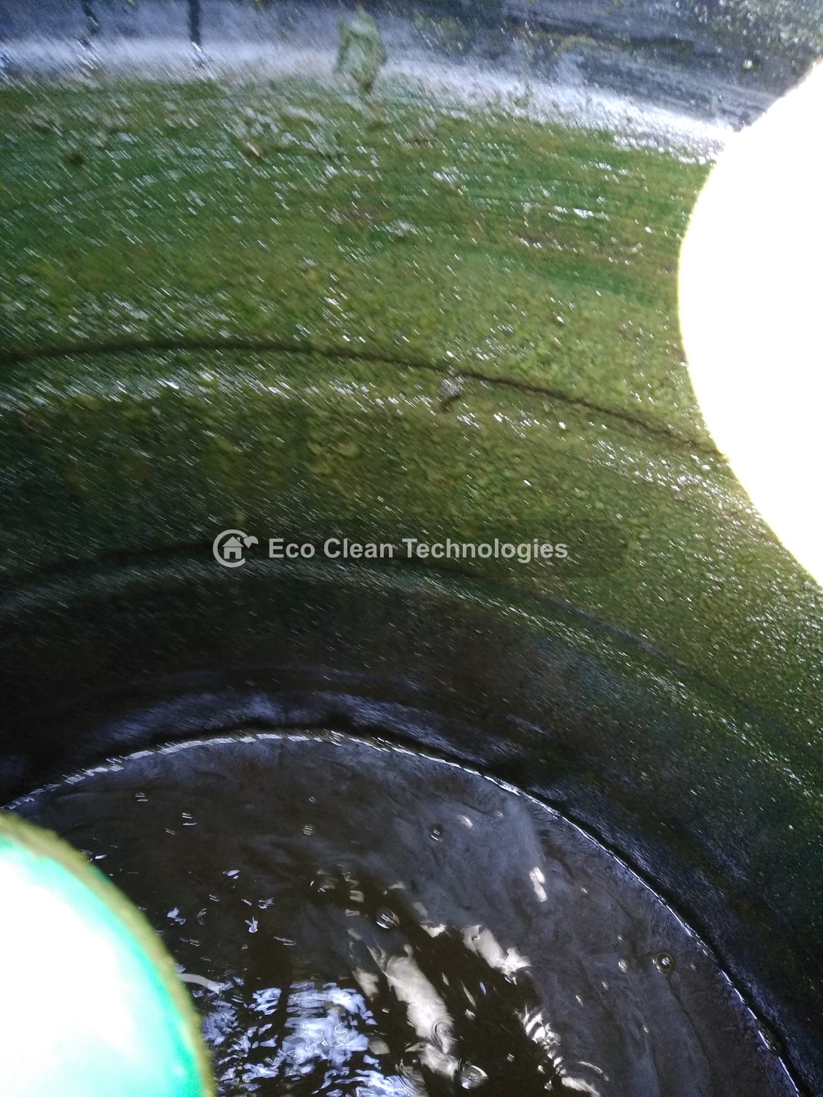 Water tank with algae before cleaning