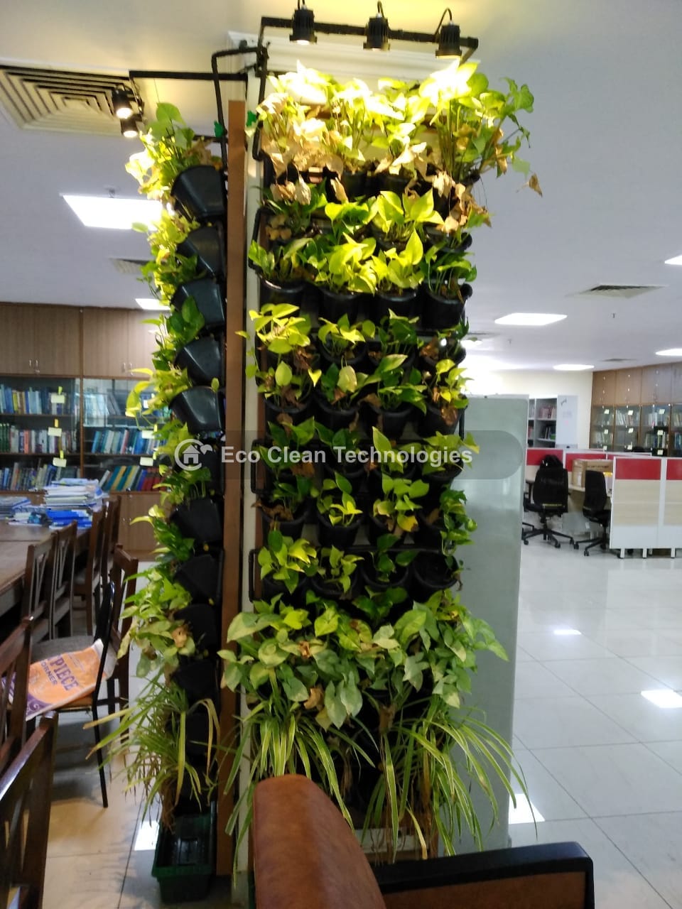 Full vertical garden wall