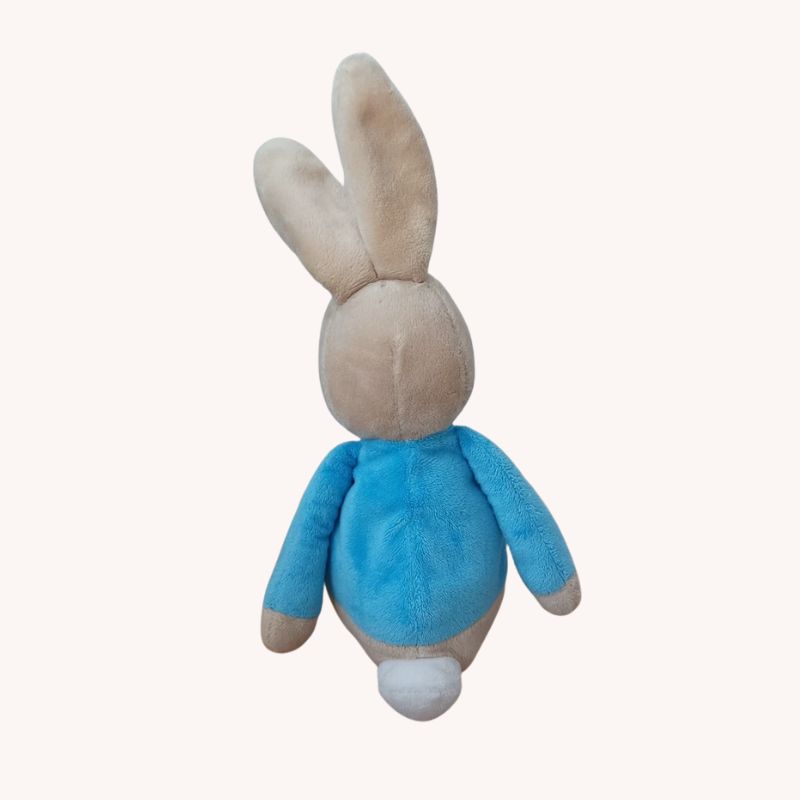 Rainbow Designs My First Peter Rabbit Soft Toy | VGUC - Image 1