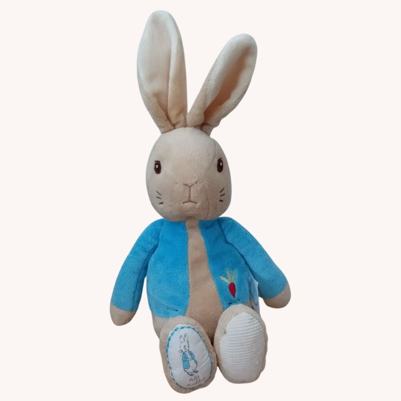 Rainbow Designs My First Peter Rabbit Soft Toy | VGUC - Image 2