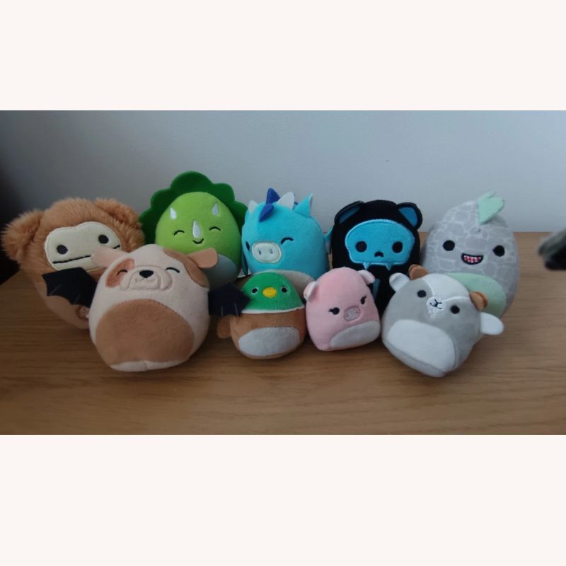Mini Squishmallows Set – 11 Plush Dolls (Small & Mini Sizes) – VGUC - Image 2