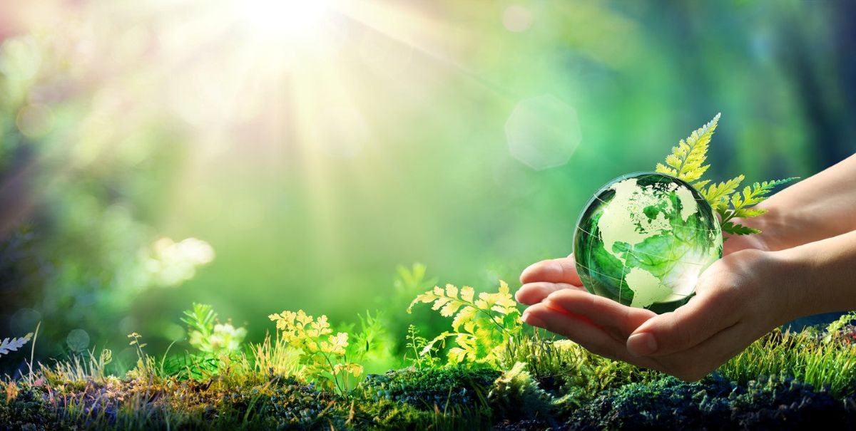 EcoKartUK: Grabbing the Market as the UK’s Top Second Hand Marketplace
