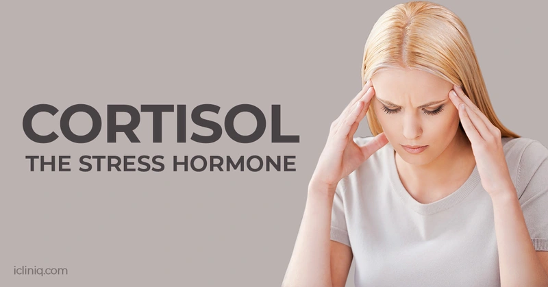 Why Women Are Suddenly Talking About Cortisol & Hormone Health